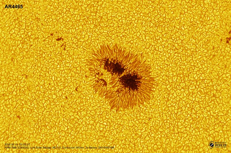 A sun close-up, seen as a flat yellow surface with a mottled surface.