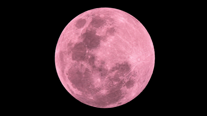 A full moon, colored pink by an AI.