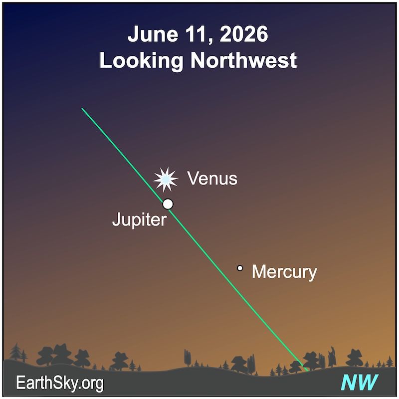 A starred dot, Venus, lies near but above a large dot, Jupiter. Below them is a smaller dot, Mercury. They all lie above a wavy line, the horizon.
