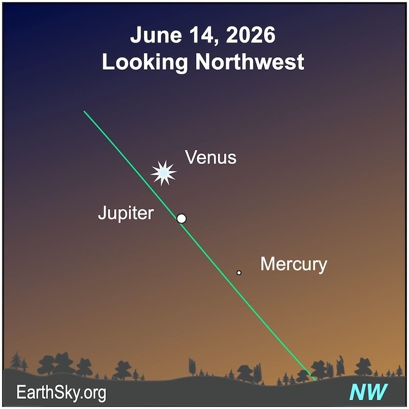 A starred dot, Venus, lies near but above a large dot, Jupiter. Below them is a smaller dot, Mercury. They all lie above a wavy line, the horizon.