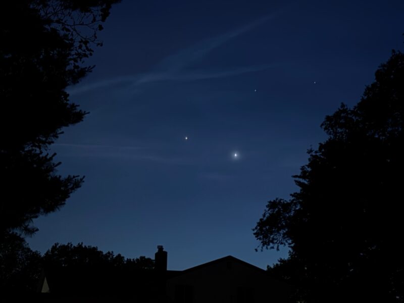 Bright dots in a dark sky. There are trees to the sides and a roof below.