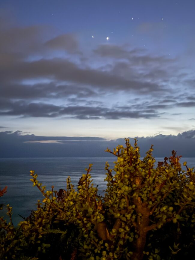 4 bright dots in a cloudy sky. A tree in the foreground.