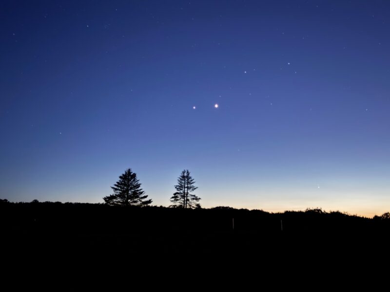White dots in a dark blue sky. There are 2 silhouetted trees below.
