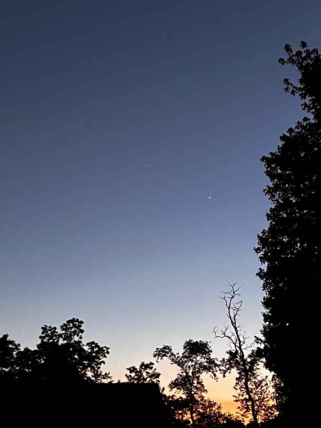 2 dots in a gray-blue sky. The horizon looks orange. There are trees below and a tall tree to the right.