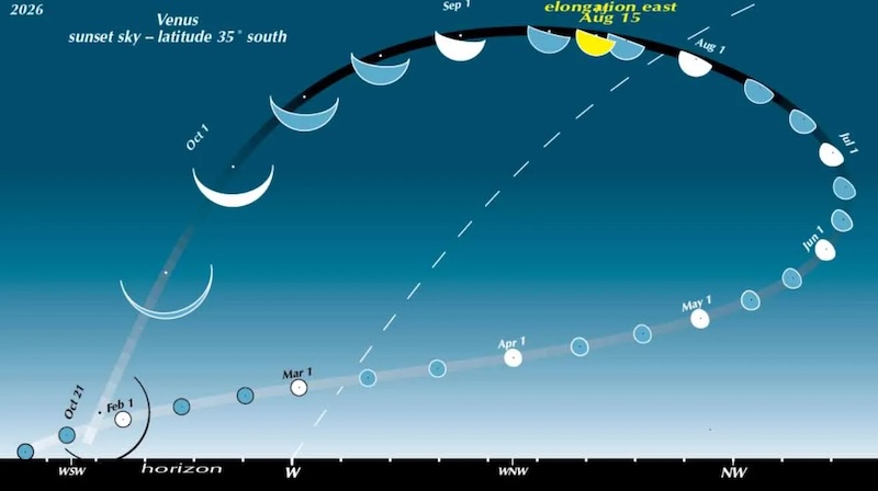 Diagram: Loop-shaped path of Venus above the horizon, phases showing, with dates beside them.