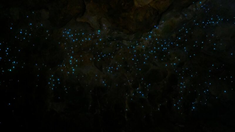 Many blue-green dots in a dark environment. The view looks like stars in a slightly cloudy sky.