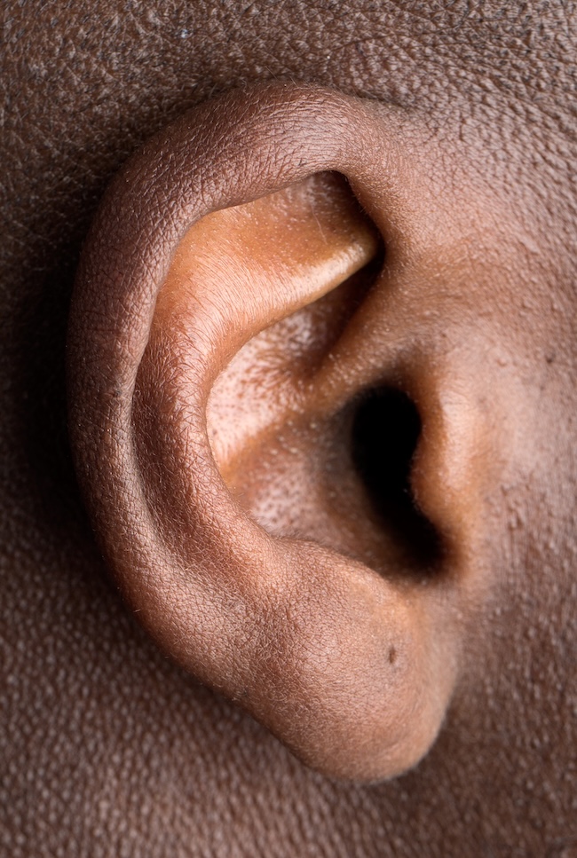 Closeup view of a right human ear.