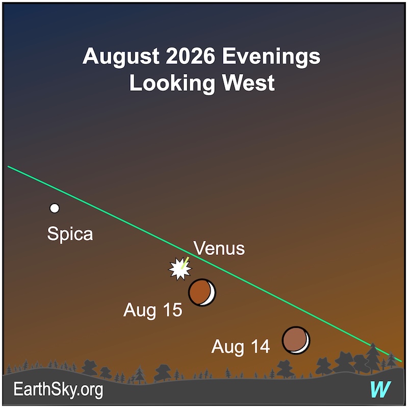 A thin crescent shape, the moon, is above a wavy line, the horizon. To its upper left is a starred dot, Venus. On the following evening, the crescent shape is next to the starred dot. To the upper left is a dot, the star Spica.