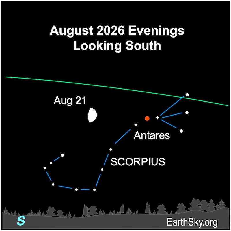 A hemisphere, the moon, sits near the middle of 14 dots forming the J shape of Scorpius. They are all above a wavy line, the horizon.