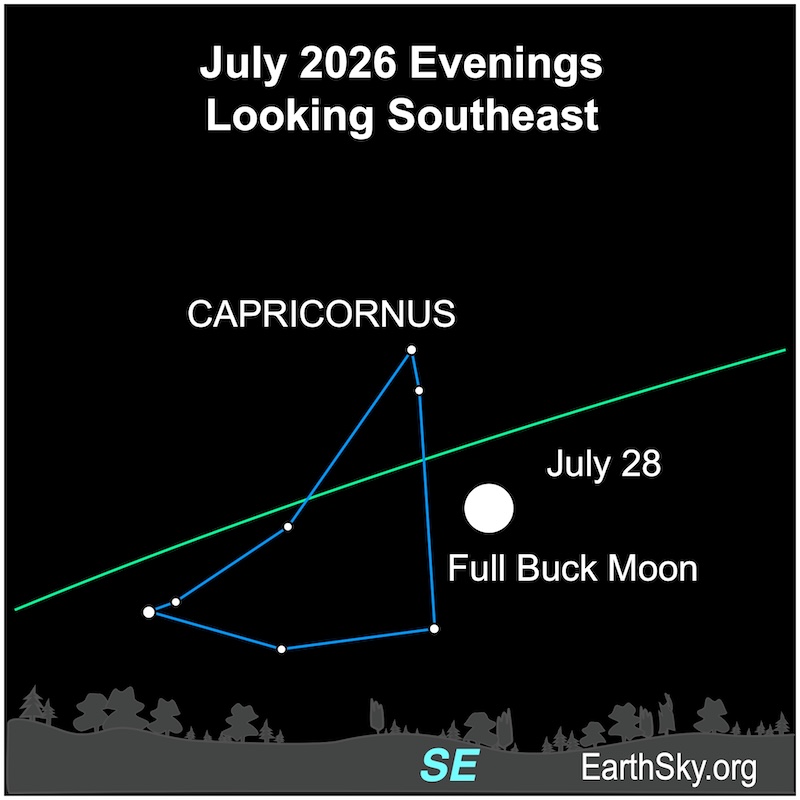 Seven small dots, faint stars, left of a round disk, the full moon. They are all above a wavy line, the horizon.