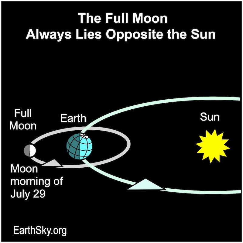 Chart showing, all in a row, a large starred dot representing the sun, a dot representing Earth, and a small dot representing the moon.