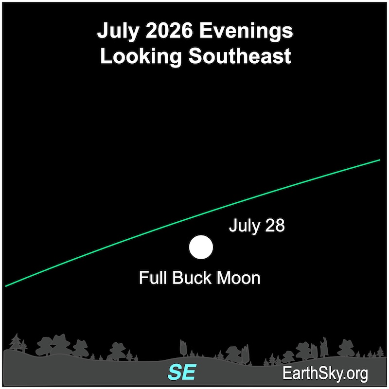 A disk, the full moon, hangs above the wavy line of the horizon.