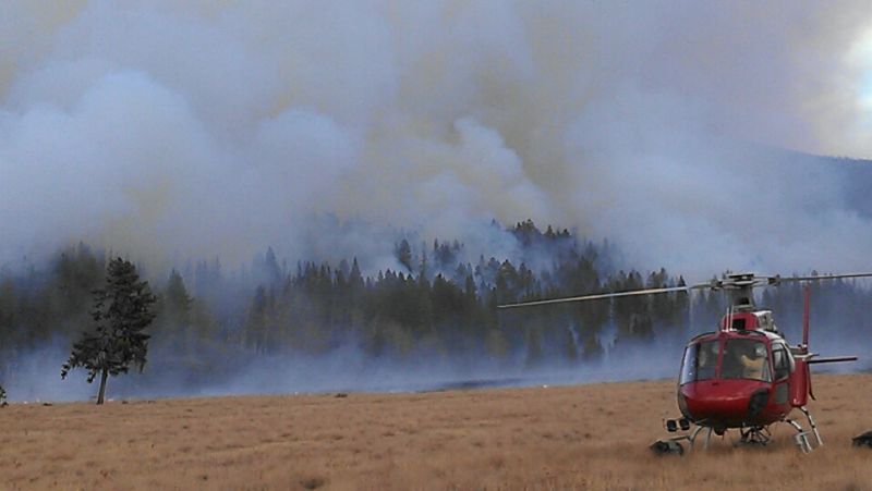 Photo of a forest fire