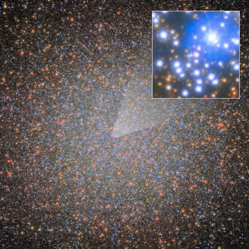 10,000 black holes: Dense cluster of stars in white, red and blue with an inset focusing on one star among many.