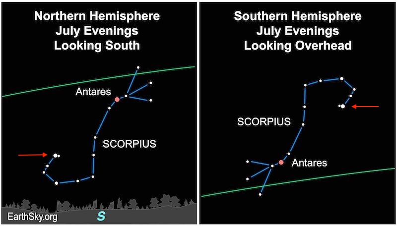Northern and Southern Hemisphere view of Scorpius the Scorpion with the Stinger Stars - Shaula and Lesath - indicated by a red arrow.