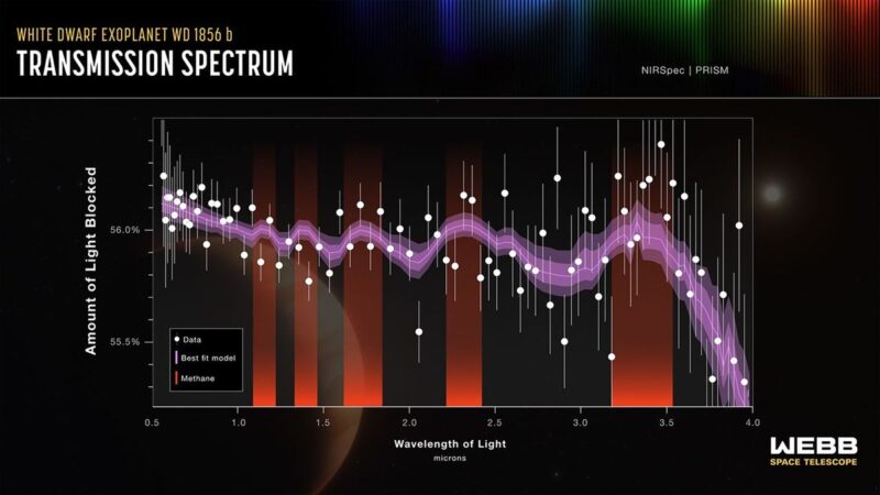 Graph showing a purple undulating line with white dots that tapers off on the right.