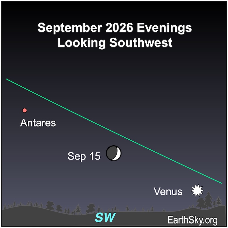A crescent shape, the moon, lies below a starred dot, Venus, and a dot, Antares. They all are above a wavy line, the horizon.