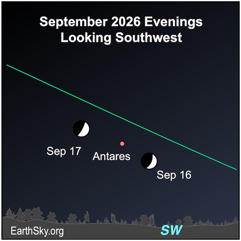 A crescent shape, the moon, first lies to the lower left of a starred dot, Venus, and then to the upper left of that starred dot. They all are above a wavy line, the southwestern horizon.