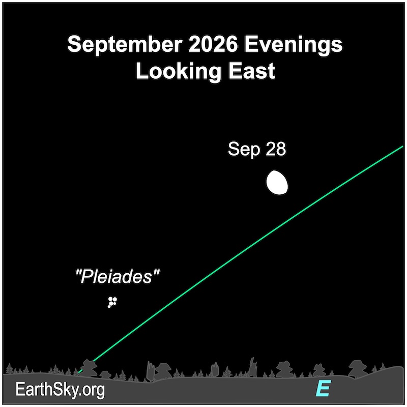 A fat hemisphere, the moon, is to the upper right of five small dots, the Pleiades star cluster. They are all above a wavy line, eastern horizon.