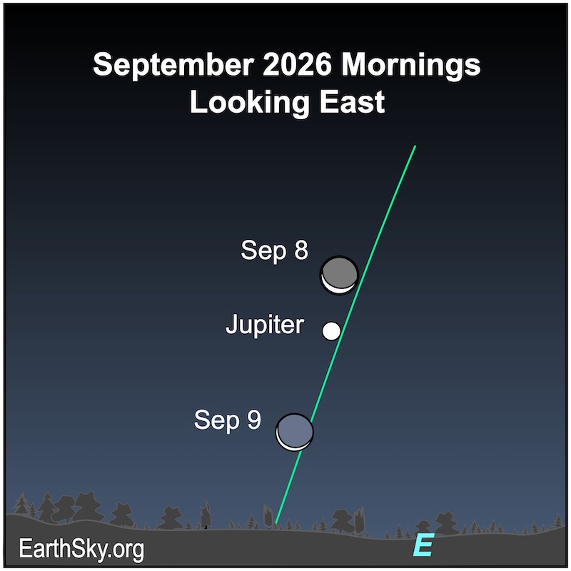 A thin crescent shape, the moon, is immediately above a dot, Jupiter. On the next morning, the crescent shape lies below the dot. They are all above the wavy line of the horizon.