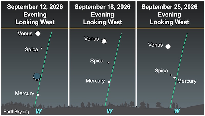 There are three charts showing the movement of a starred dot, Venus, during September. In the first chart, a starred dot, Venus, lies below a dot, the star Spica. In the second chart, the starred dot of Venus has moved left of the dot of Spica, and a crescent shape, the moon, is left of Venus. In the third chart, the starred dot of Venus lies immediately above a wavy line, the horizon.