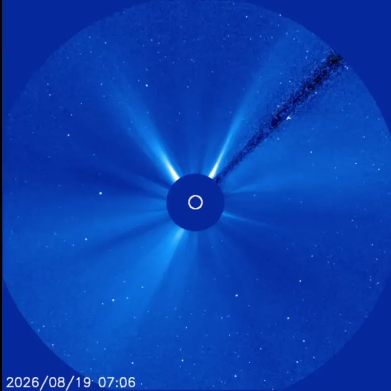 Animation of the sun, with the bright center blocked and large eruptions of glowing gas blasting from its surface.