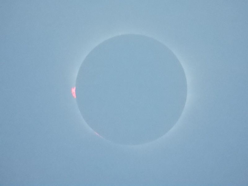 A total eclipse in a blue sky, with a blue moon cvering the sun, and orange prominences on the left side of the moon/sun.