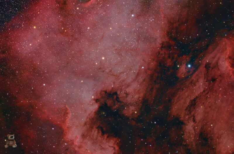 A large, bright red cloud with the shape of North America, containing numerous immersed faint stars.