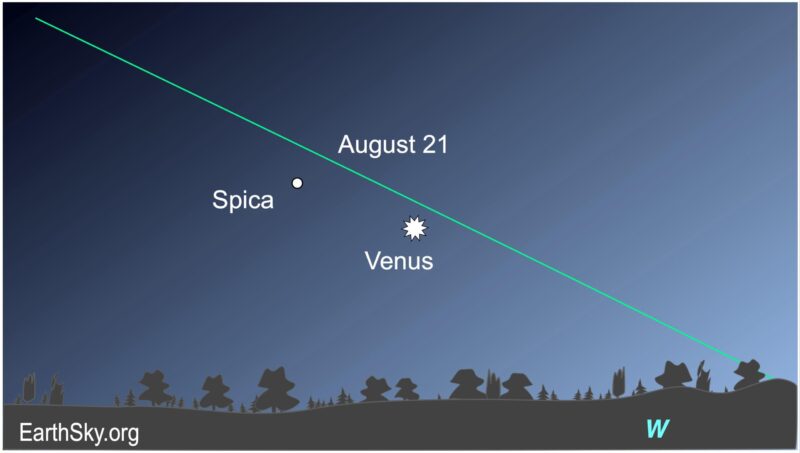 Sky chart: A bright dot, Spica, and an even brighter one, Venus, along the slanted ecliptic line.
