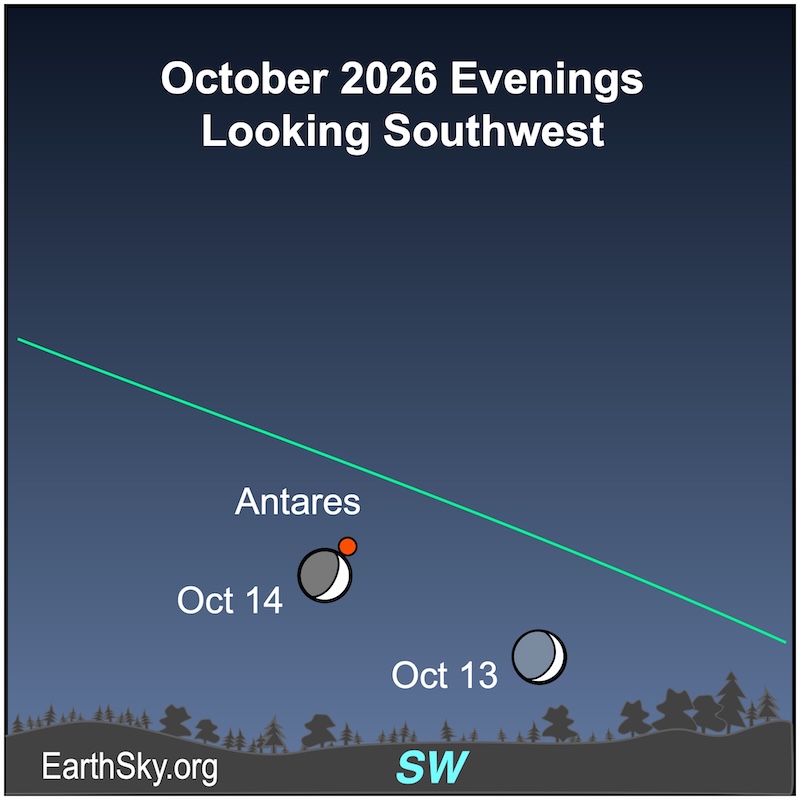 A crescent shape, the moon, is just above a wavy line, the horizon. On the next morning, the crescent shape has moved to the upper left and is immediately below a dot, the star Antares.