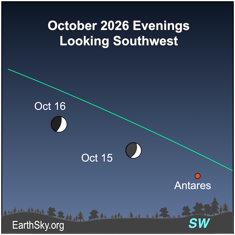 A crescent shape, the moon, is above a wavy line, the horizon. To its lower right is a dot, the star Antares. On the next evening, the crescent shape has moved to the upper left.