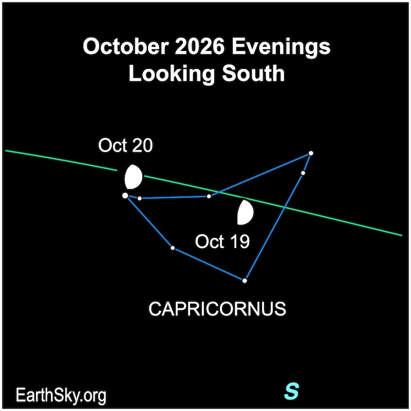 A fat hemisphere, the moon, moves among seven small dots, the constellation Capricornus. On the next night, the hemisphere will have moved left of most of the small dots.