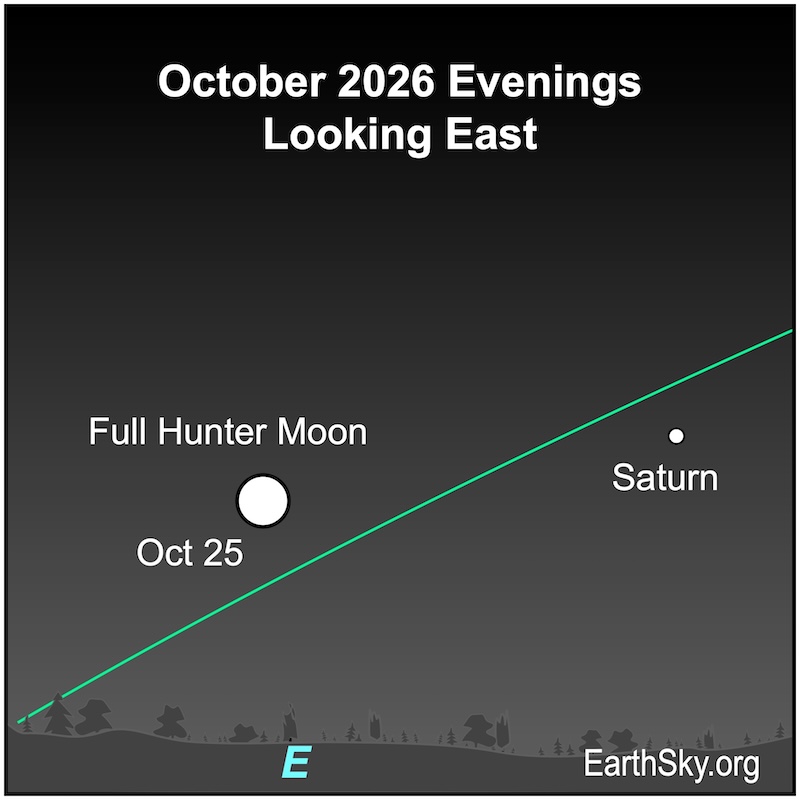 Chart showing a disk, the full moon, left of a dot, Saturn. They are both above the horizontal wavy line of the horizon.