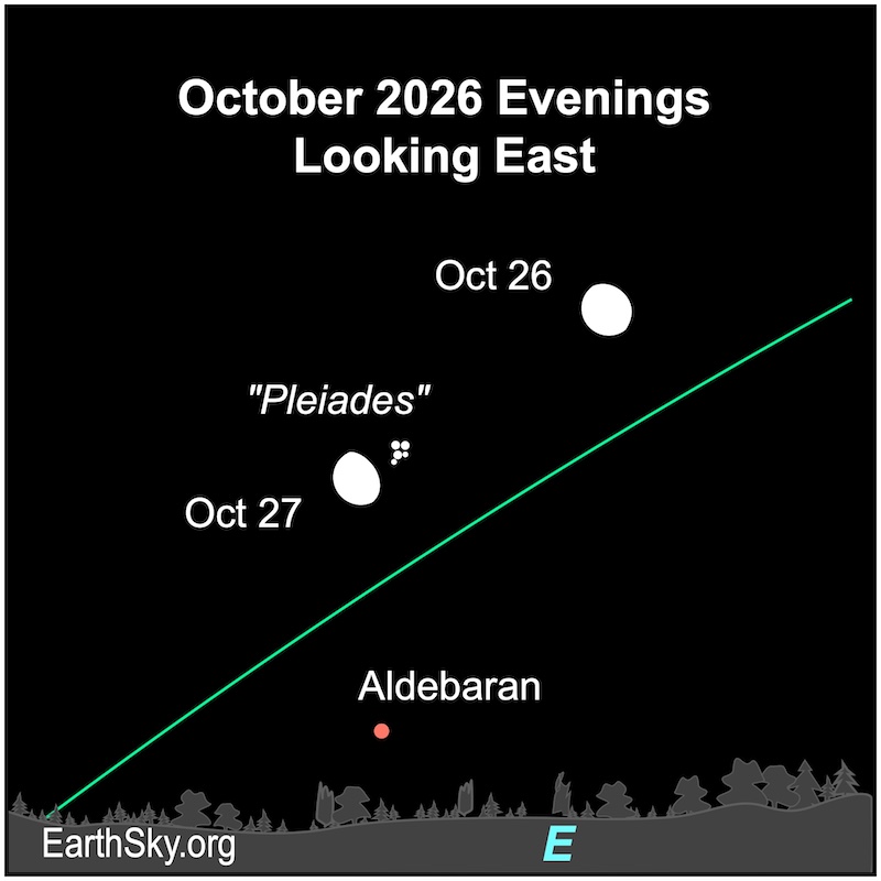 A fat hemisphere, the moon, lies to the upper right of a tight group of small dots, the Pleiades. On the next evening, it is immediately next to those dots. Below them is a dot, the star Aldebaran. They all are above a wavy line, the horizon.