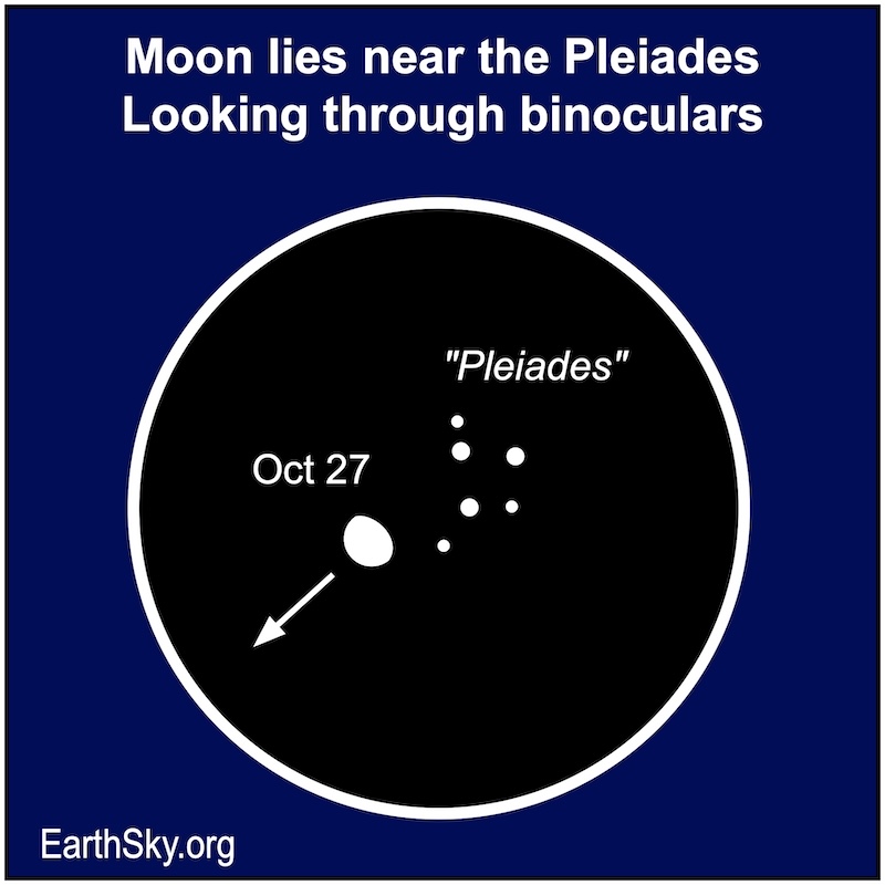 A fat white hemisphere, the moon, lies to the lower left of a number of small white dots, the Pleiades star cluster. A white arrow points to the hemisphere's lower left showing the direction of its movement.