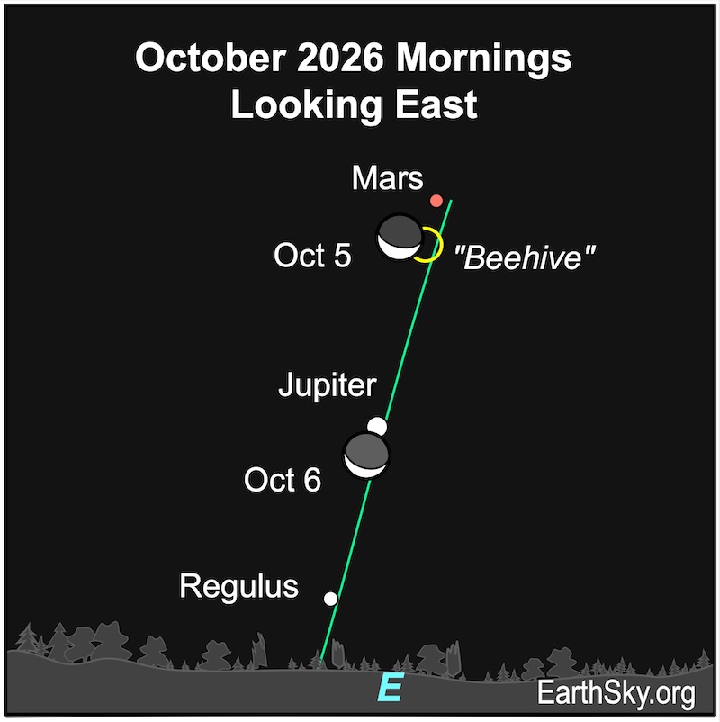 In the early morning sky on October 5, a crescent shape, the moon, is next to a circle, the Beehive star cluster. It is immediately below a dot, Mars. They are all above a dot, Jupiter and a smaller, the star Regulus. On the next morning, the crescent shape, the moon, is between the large dot, Jupiter, and the small dot, Regulus. They are all above the wavy line of the horizon.