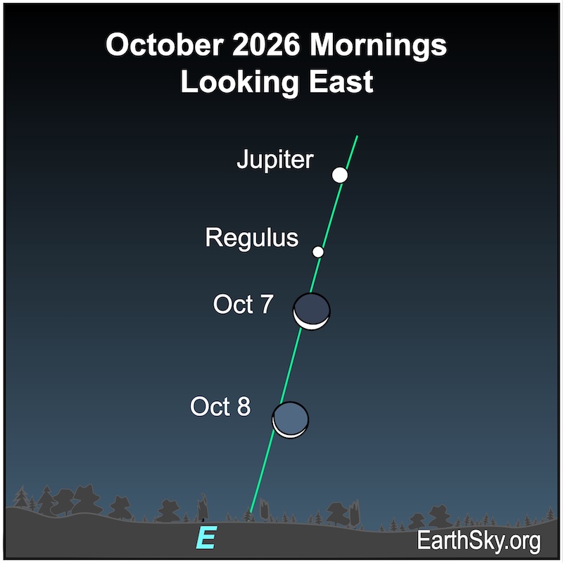 A thin crescent shape, the moon, is near a dot, the star Regulus and a bigger dot, Jupiter. They are all above a wavy line, the horizon. On the next moring, the crescent shape is closer to the wavy line.
