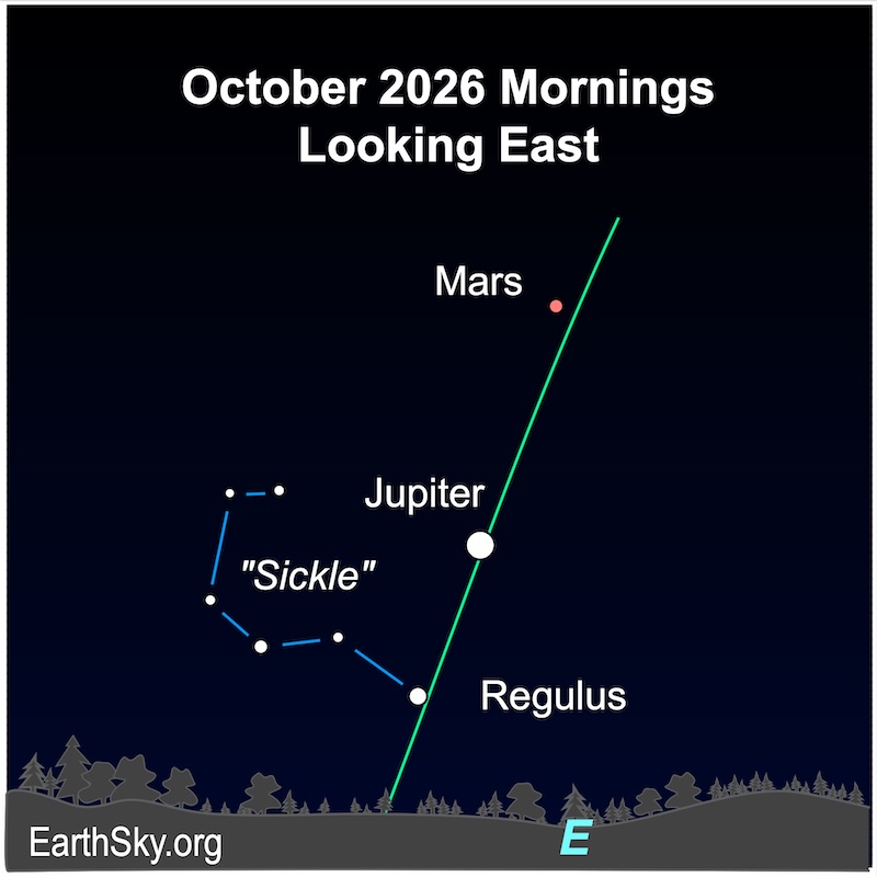 A dot, Jupiter, is above a smaller dot, the star Regulus. Above it is another smaller dot, Mars. Six very small dots, the Sickle asterism, are to the dot's left. Below them all is a wavy line, the horizon.