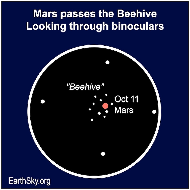 A dot, Mars, lies in front of more than a dozen small dots, stars of the Beehive star cluster.