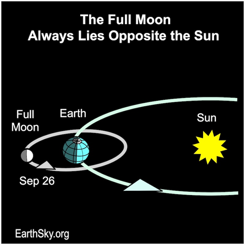 Chart showing a starred dot representing the sun, a dot representing Earth and a small dot for the moon.