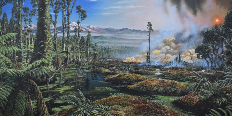Wildfires near the South Pole: Landscape with brush and trees, with a smoky brushfire, and distant snow-capped mountains.