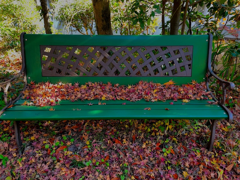 A wooden green bench covered and surrounded by autumn-colored leaves.