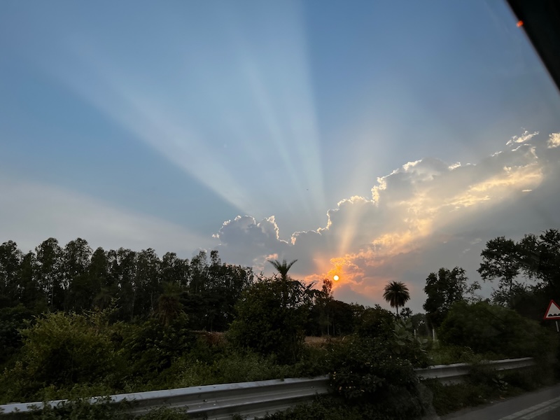 Crepuscular rays coming off the sun above some trees in the distance.