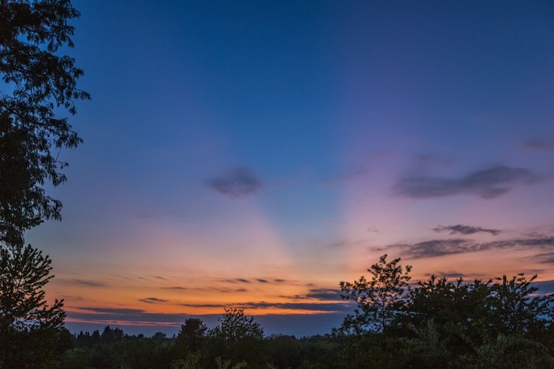Twilight at sunset the crepuscular rays - one going over Venus - with trees and bushes in the foreground.