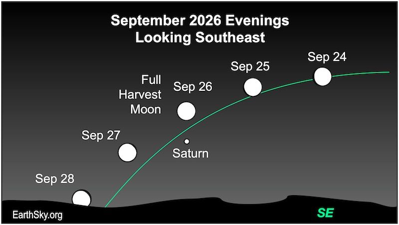 A chart of the Harvest Moon near Saturn on the nights of September 24 to 28, 2026.