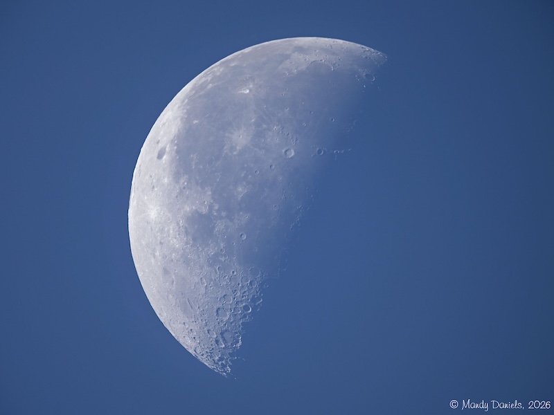 Last quarter moon against a dark blue sky.