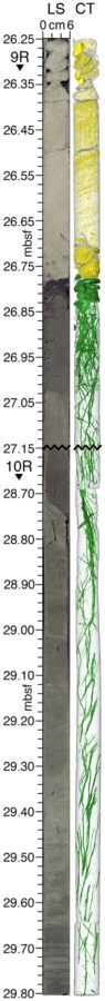 Vertical graph: bar in different colors of gray next to one streaked with green.