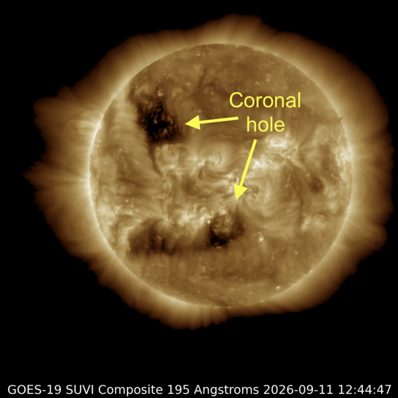Two dark coronal holes on the sun's disk, seen in extreme ultraviolet light.
