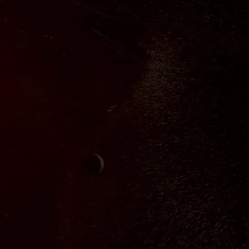 In black space, thousands of particles streaming toward and past small Earth.