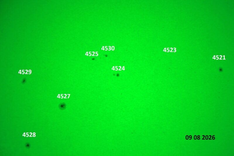 The sun, seen as a green sectional sphere with dark spots, each labeled.